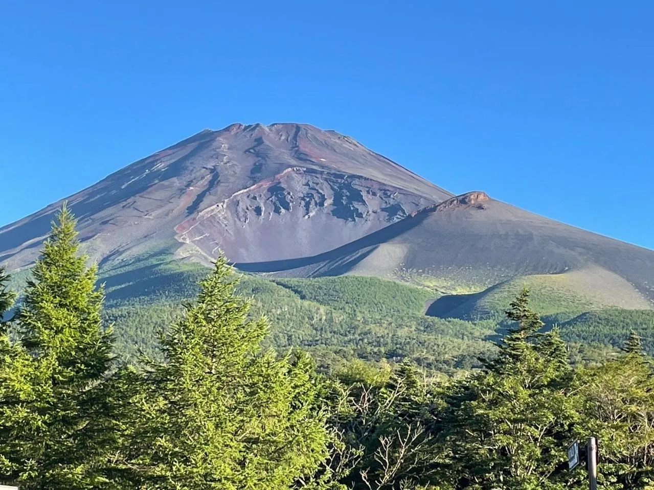 富士宮　夏と言えば！！