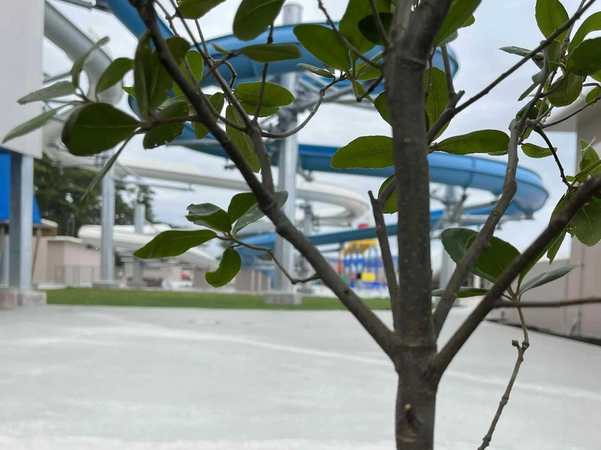 静岡　夏と言えば