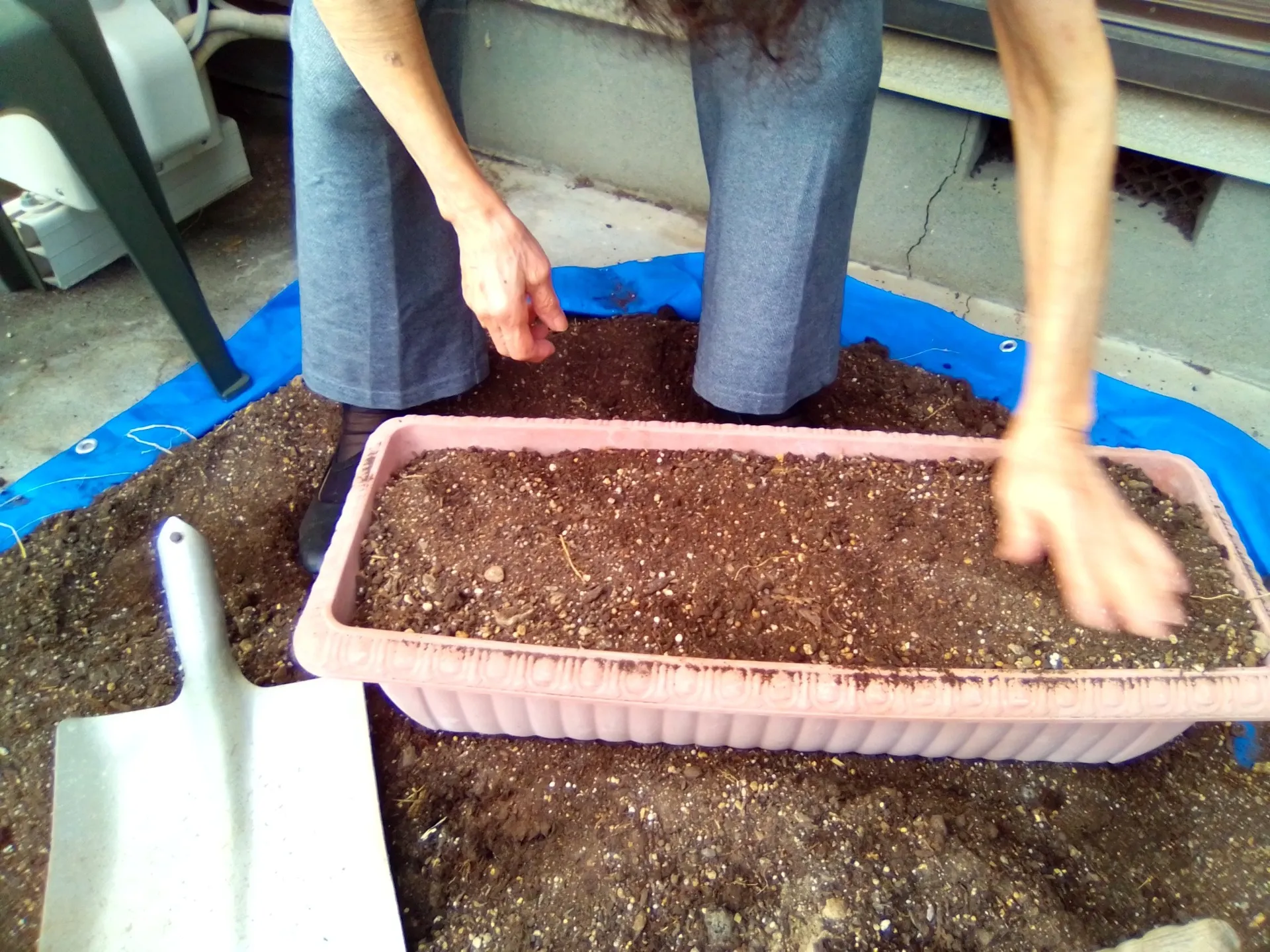 デイサービス夢コープふじの冬支度