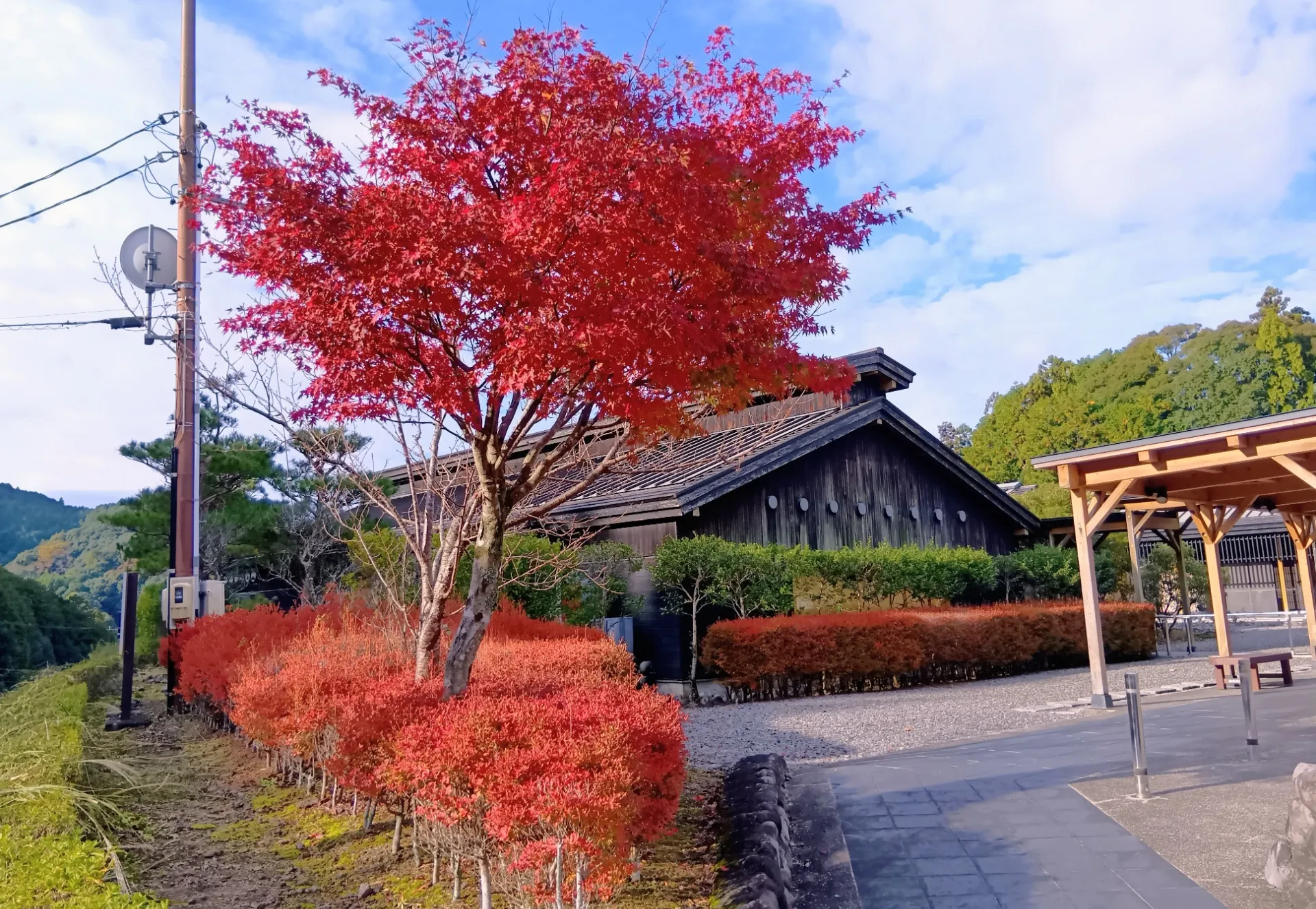 おでかけデイサービス夢コープいたです