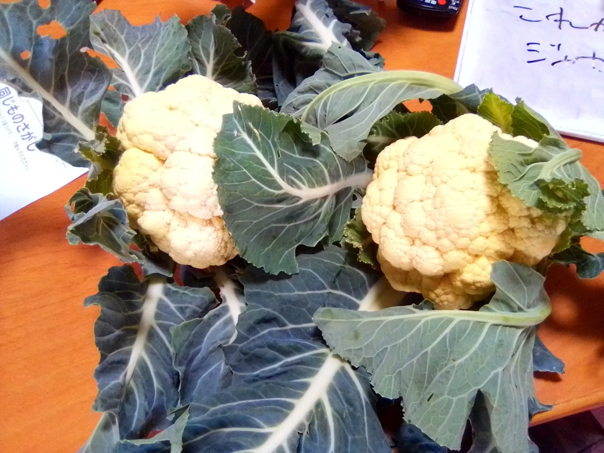 じゃが芋とカリフラワーとサニーレタスと・・・