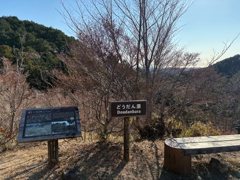 中部　リフレッシュ