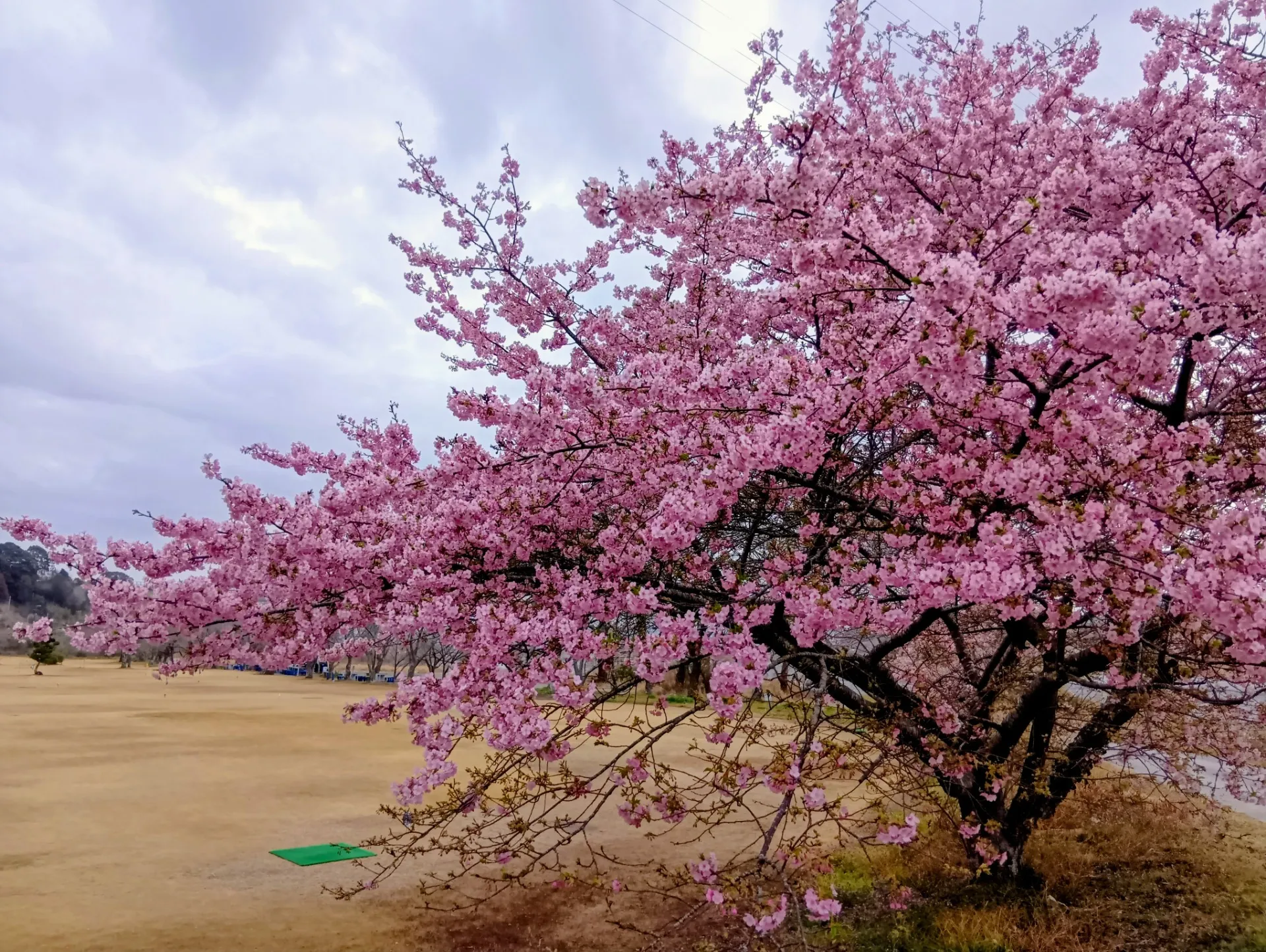 おでかけデイサービス夢コープいたです